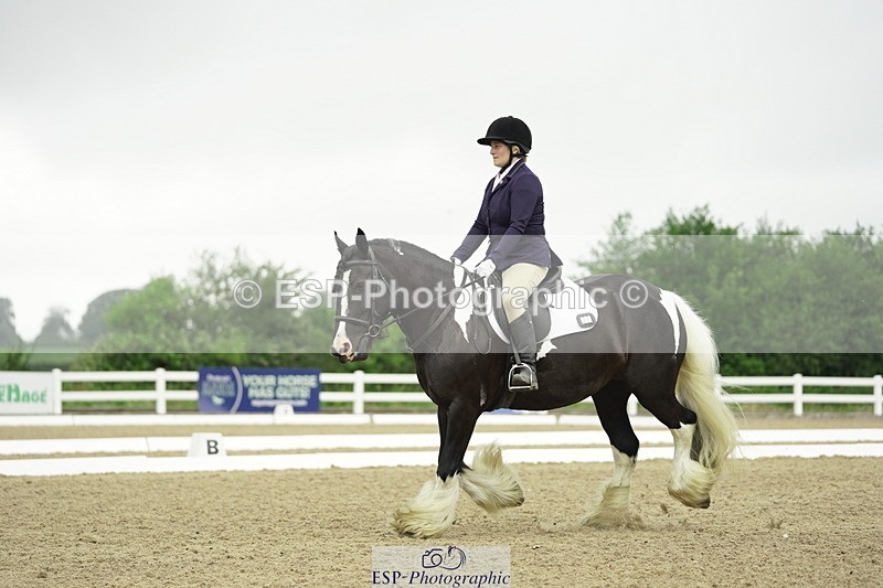 230708A-100104-00266 - Intro C