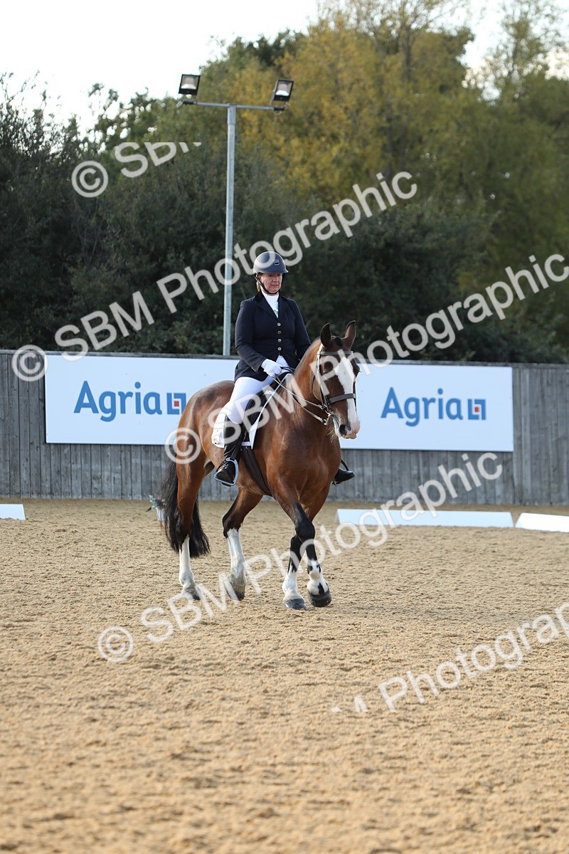 SBM_28647 - D20 - Grand Tour Championship - Elementary 44