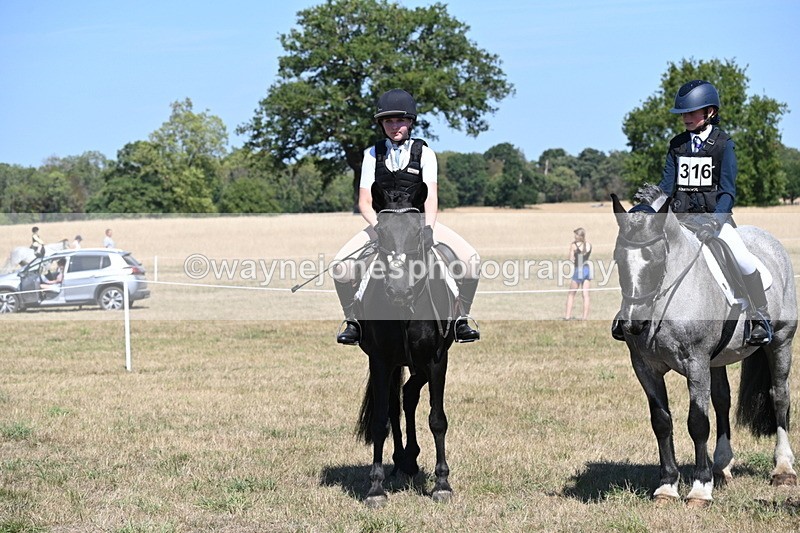 WJ6_8405 - Class 37a Best Loan Pony Ridden