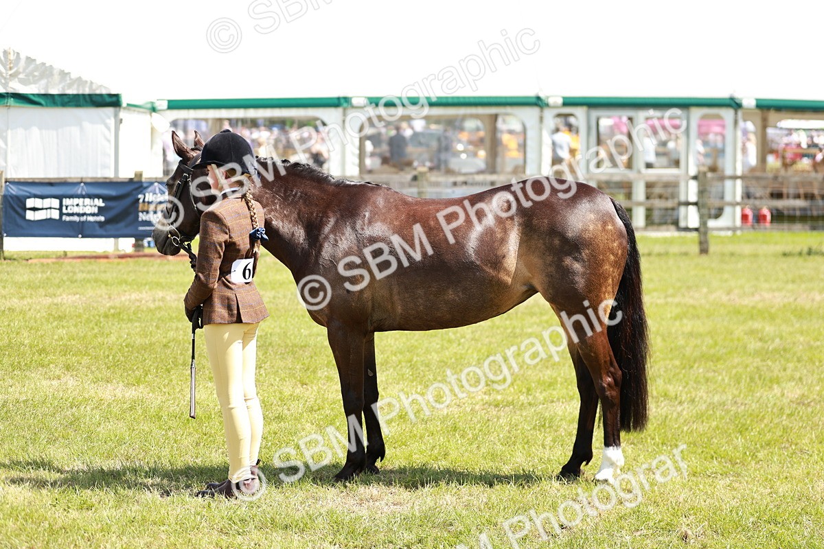 SBM_15484 - Class 108-109 - BSPS LIHS Open Gradle & Nursery Stakes