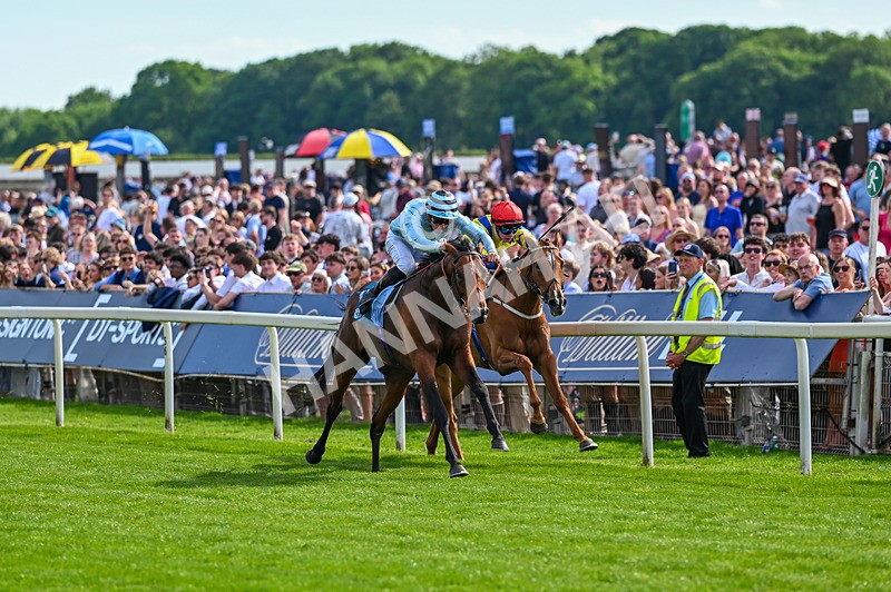 230526-Race 6-Pearl River-7746 - Race 6 16.25pm Royal Yorkshire Regiment Handicap