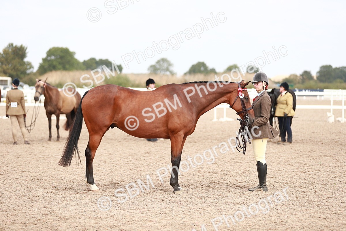 SBM_13272 - Class 208 IH Veteran Horse