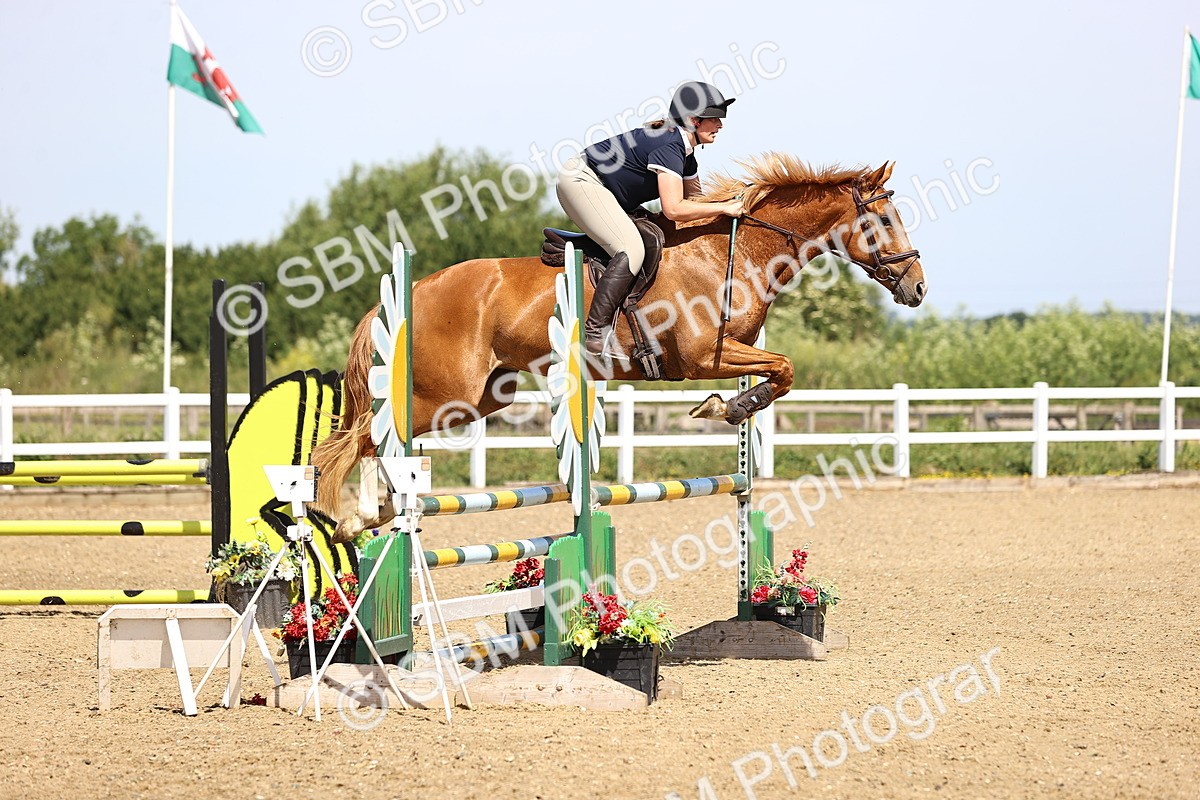 SBM_003726 - Class 9 British Novice/90cm