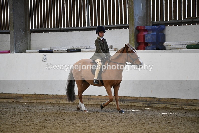 WJ5_5923 - Class 9 Ridden Veteran