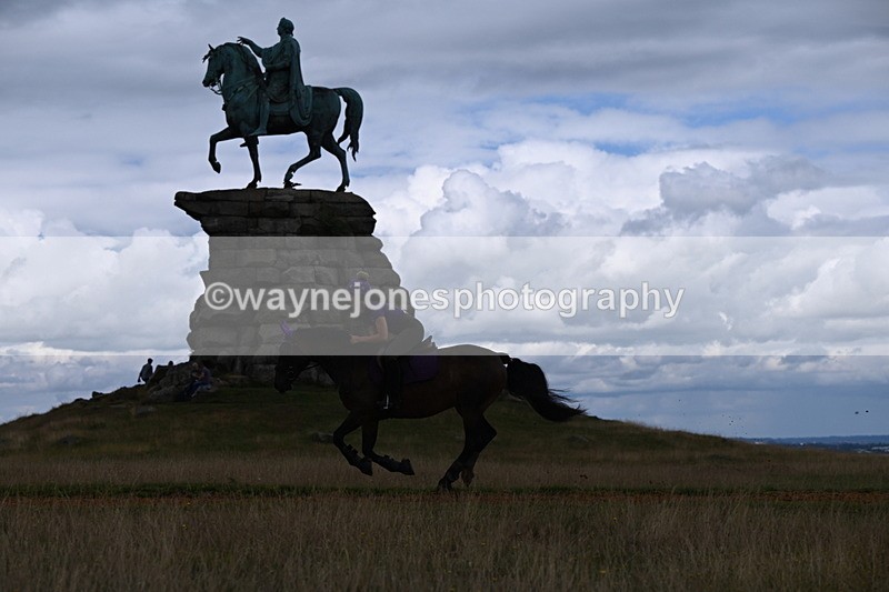 DSC_9448 - Time at Statue 15:11 to 15:58