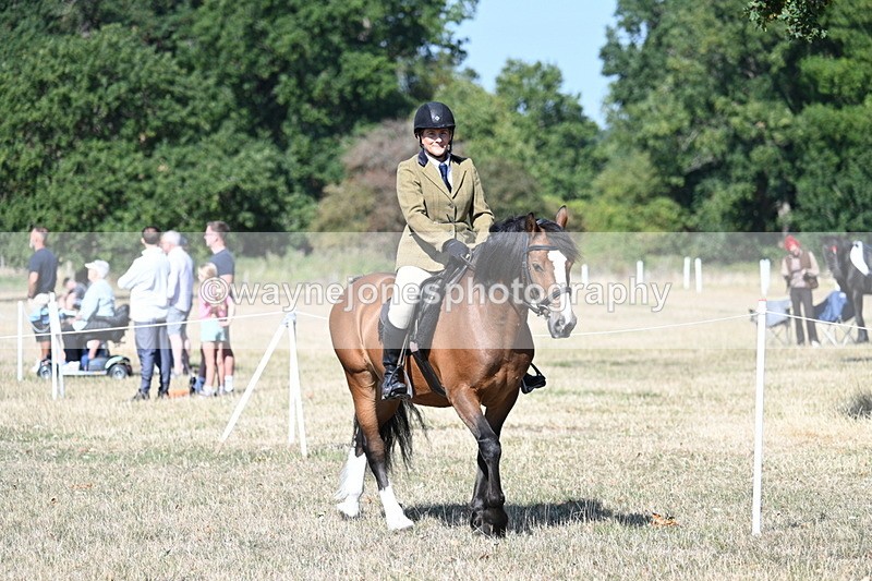 WJ7_3515 - Class 9 Mountain & Moorland Ridden