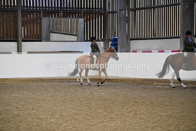 WJ5_6026 - Class 9 Ridden Veteran