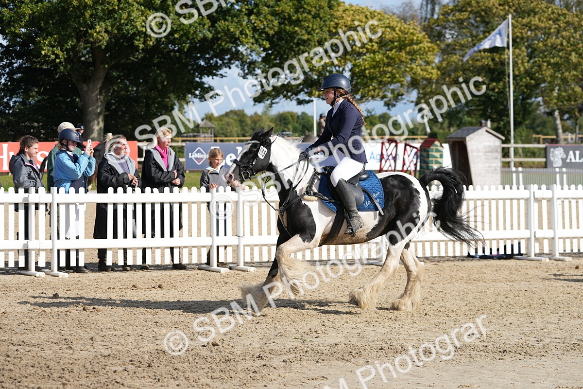 SBM_48642 - J7 - Junior Pony 60cm Championship
