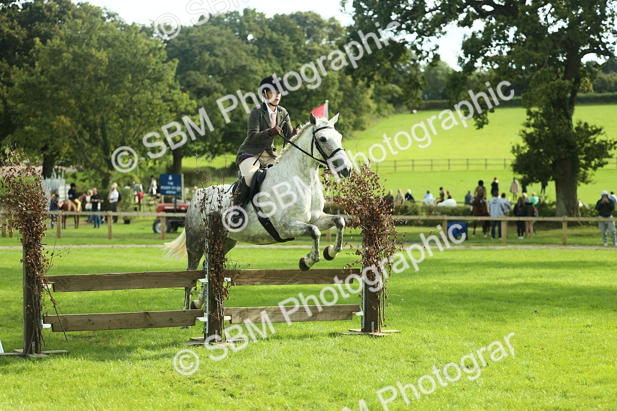SBM_50636 - S33 - Working Hunter & Working Show Horse