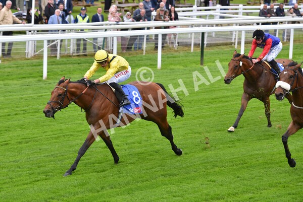 yr11052022r1-25 - Race 1 1.50pm Sky Bet Race to the Ebor Jorvik Stakes