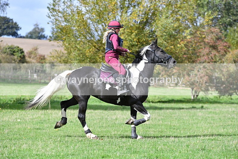 WJ5_8941 - Time 12:34 to 12:57