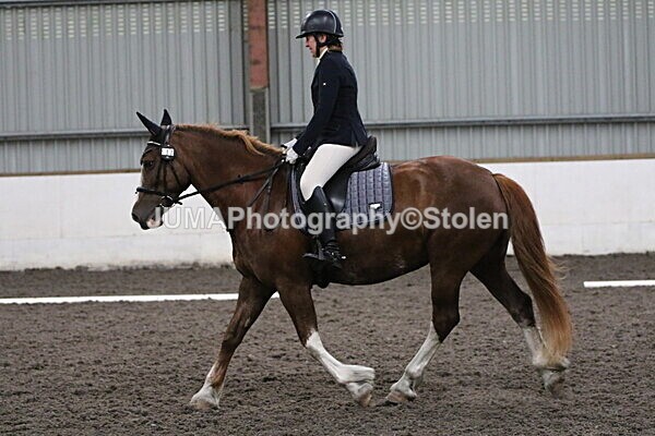 SIAL5615 - CAbin Dressage 5th july 2025