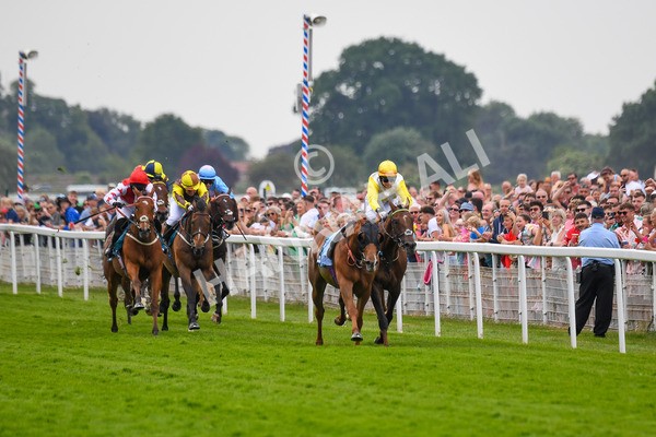 170623-Race 1-Kihavah-0198 - Race 1 2.00pm Queen Mother's Cup Handicap