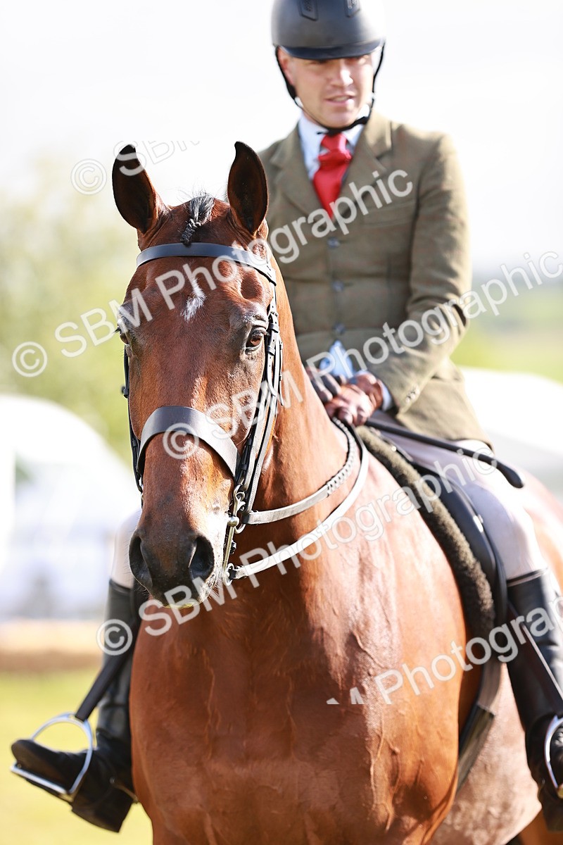 SBM_10818 - Class 81-84 - RIHS Ridden hunters Inc Ladies Hunter