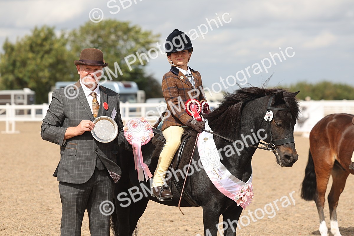 SBM_15915 - Class 310 - First Ridden Pony