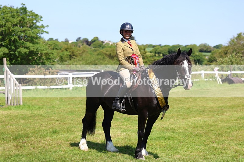 3E7A6811 - Working Hunter Pony Championship
