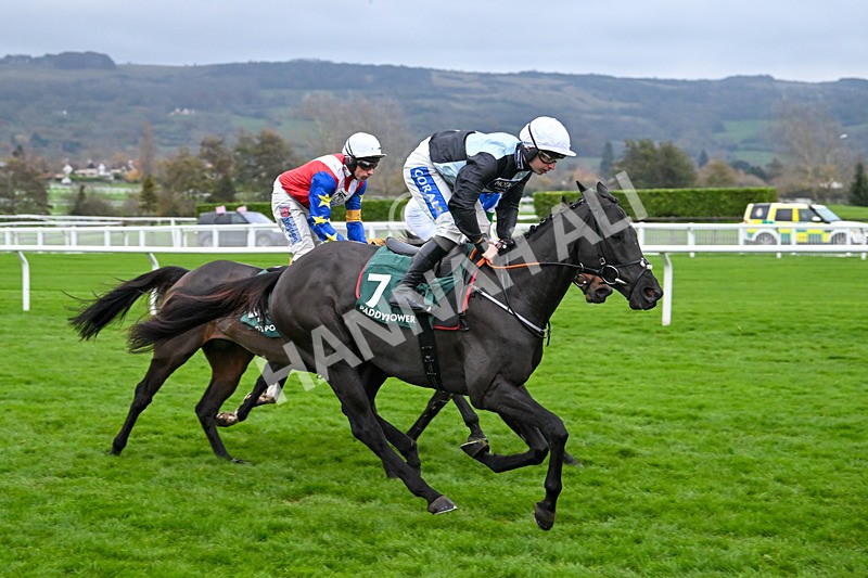 161124-Race 6-Long Draw-1442 - Race 6