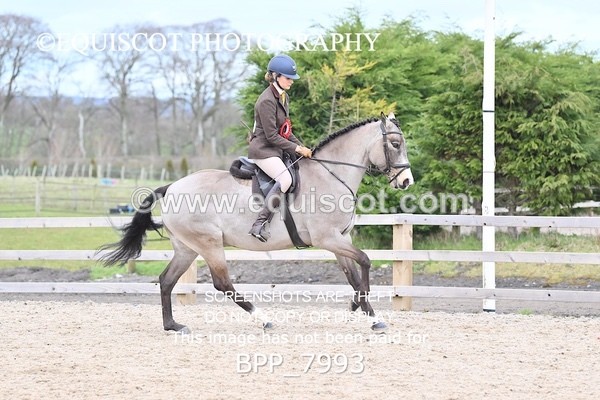 BPP_7993 - SUPREME CHAMPIONSHIP