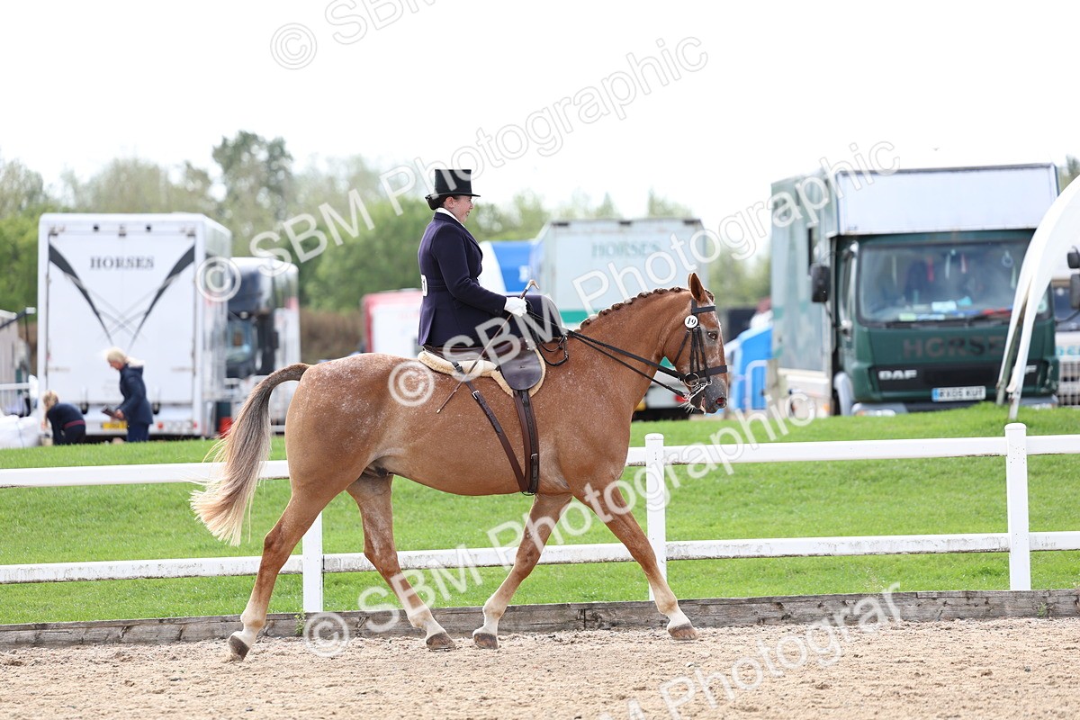 SBM_03187 - Class 22 - SSA Equitation (any age)