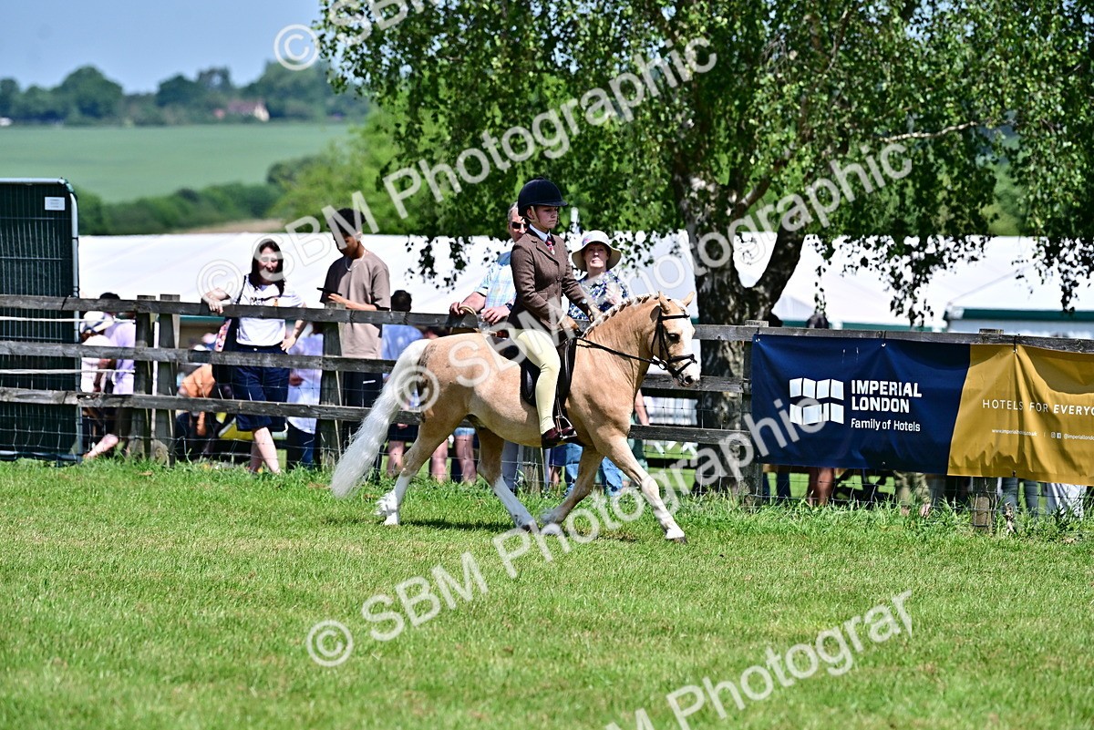 SBM_15332 - Class 95-97 - BSPS LHS Performance Ponies