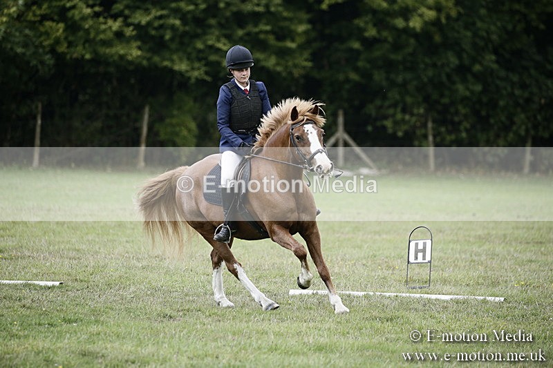BVR090918 249 - BVRC Dressage and Show Jumping 09/09/18