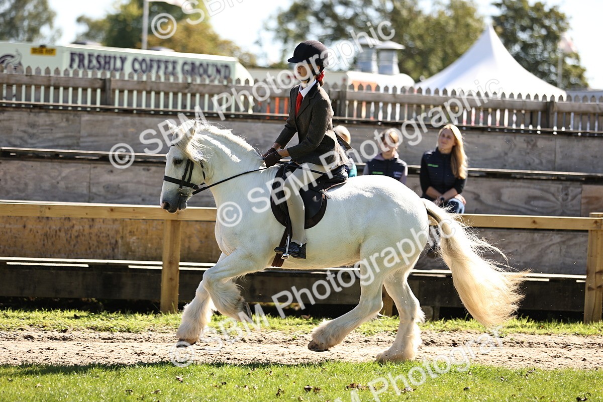 SBM_19329 - S3 - TSR Ridden Pony Showing
