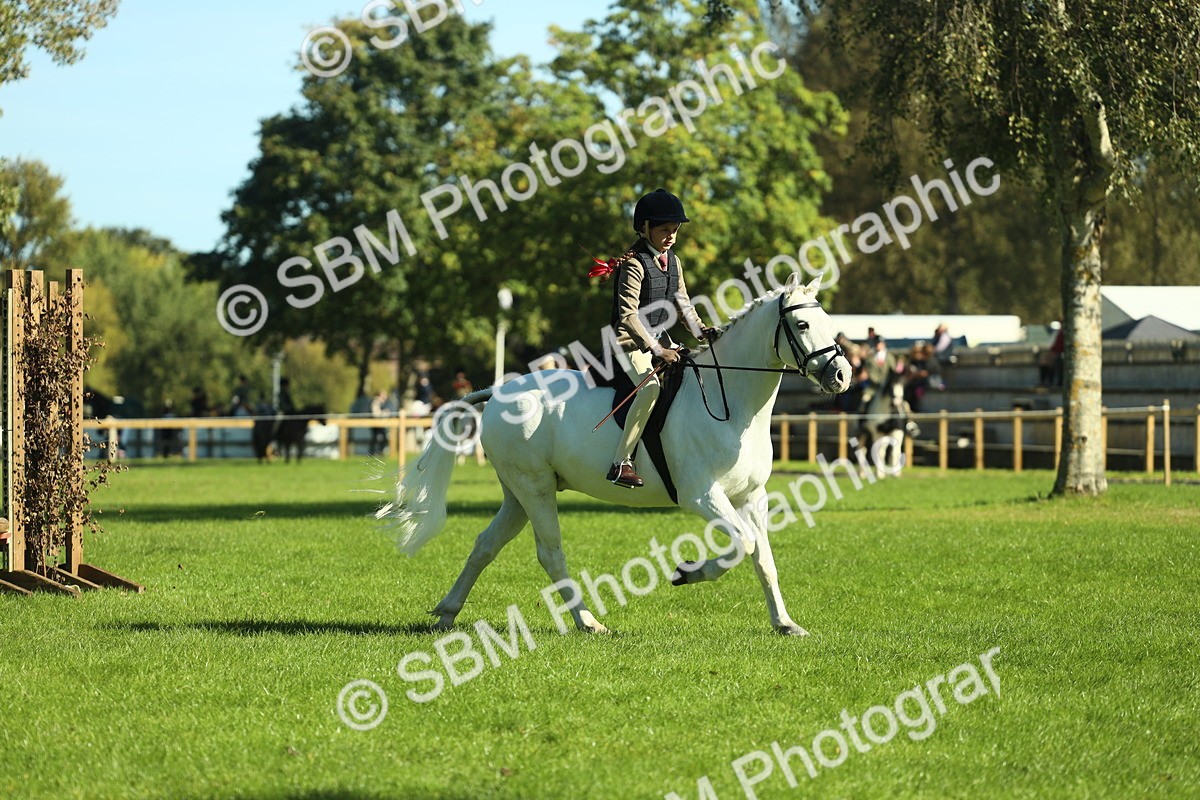 SBM_37498 - S29 - Novice & Newcomers Working Hunter Pony