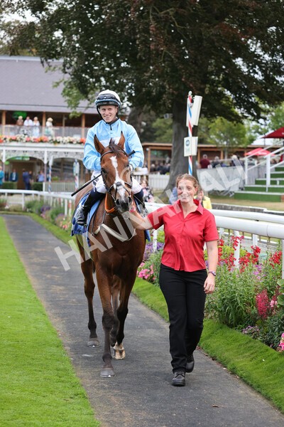 yr24092021r8-34 - Race 8 5.25pm William Hill Build Your Own Odds Apprentice Stakes