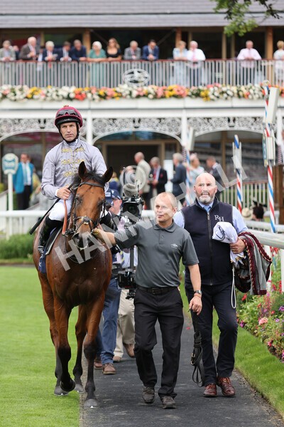 yr20082021r3-32 - Race 3 3.00pm Al Basti Equiworld Dubai Gimcrack Stakes
