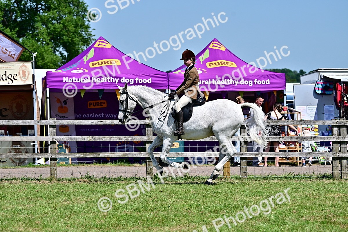 SBM_17553 - Class 95-97 - BSPS LHS Performance Ponies