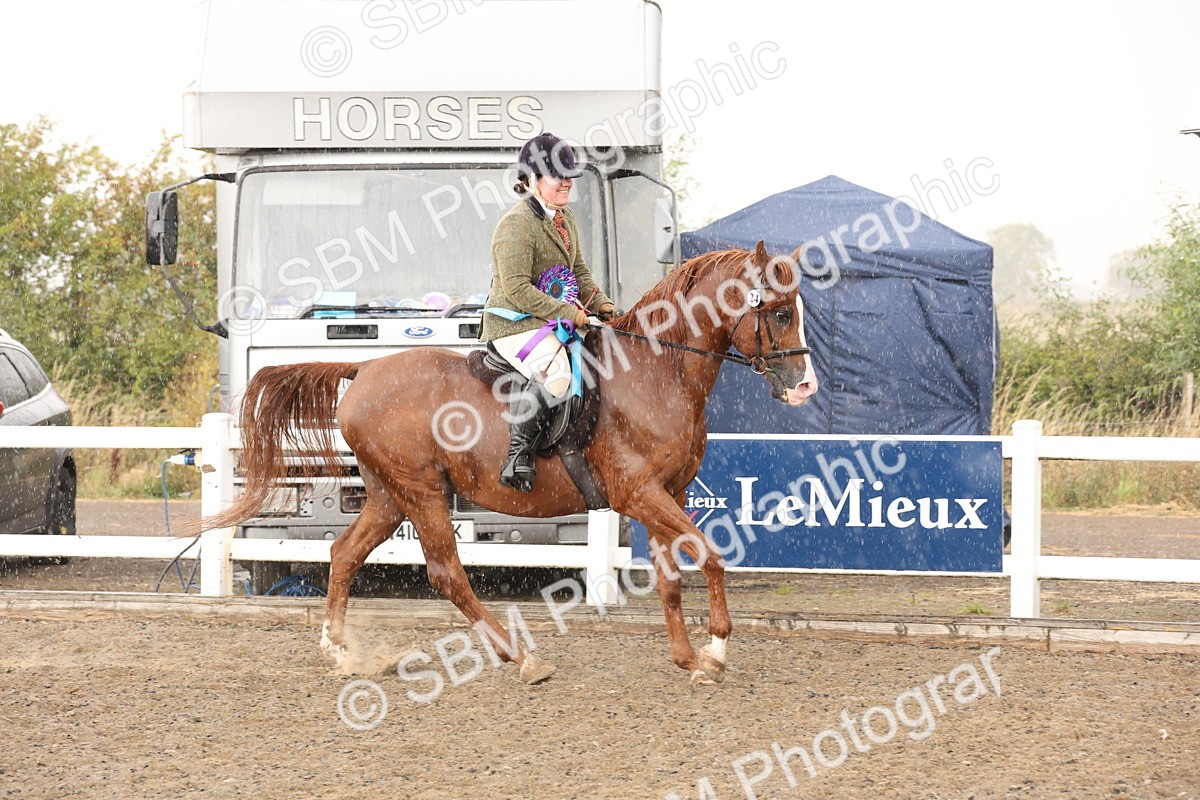 SBM_07604 - Class 59b -  Style & Performance - 80cm (20+)