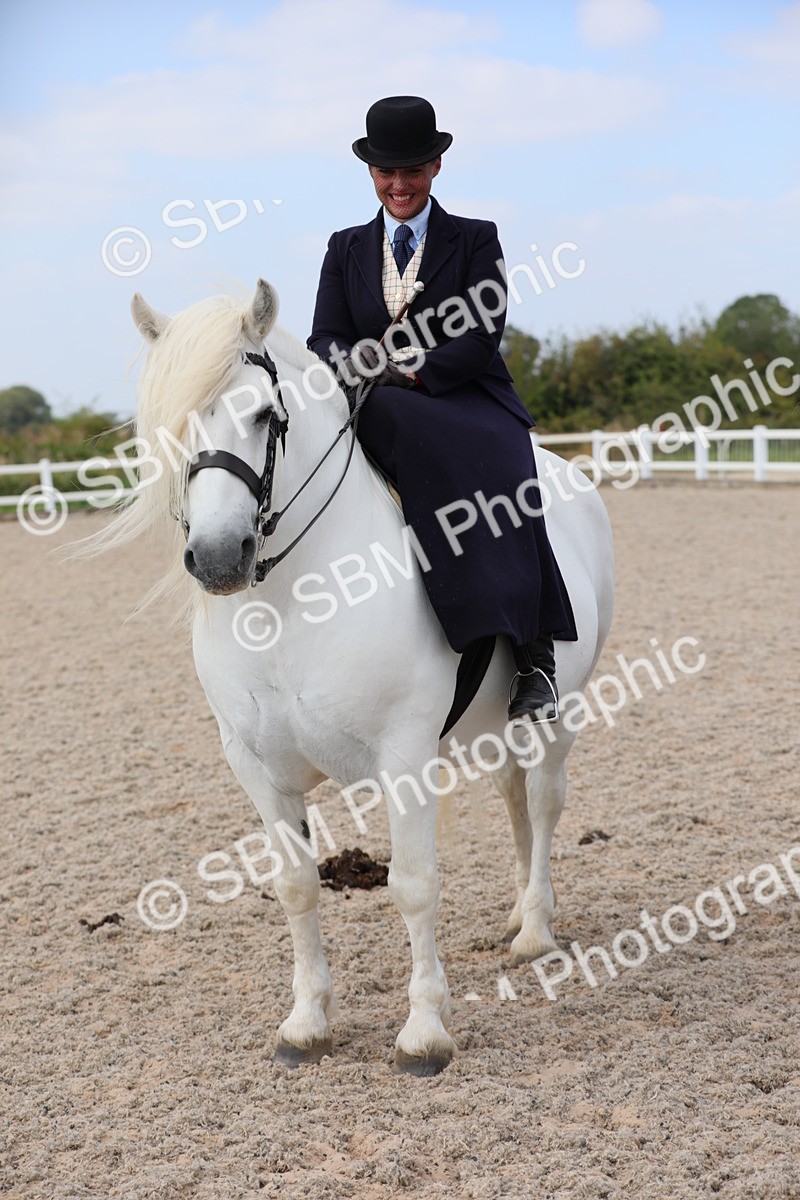 SBM_14618 - Class 211 Best Side Saddle Horse/Pony