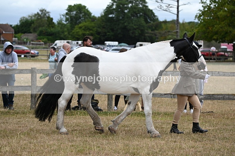 WJ6_8369 - Class 10 Coloured in Hand