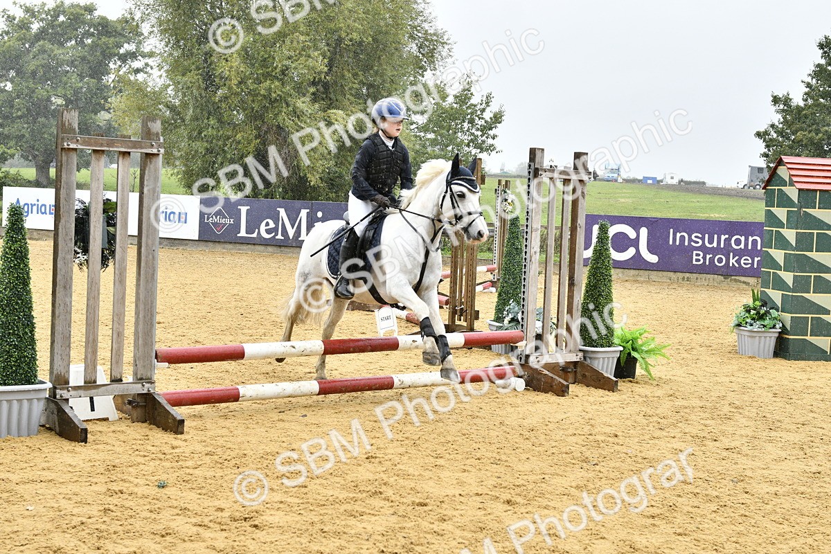 SBM_70950 - J3 - Mini Tour Junior Pony 40cm championship
