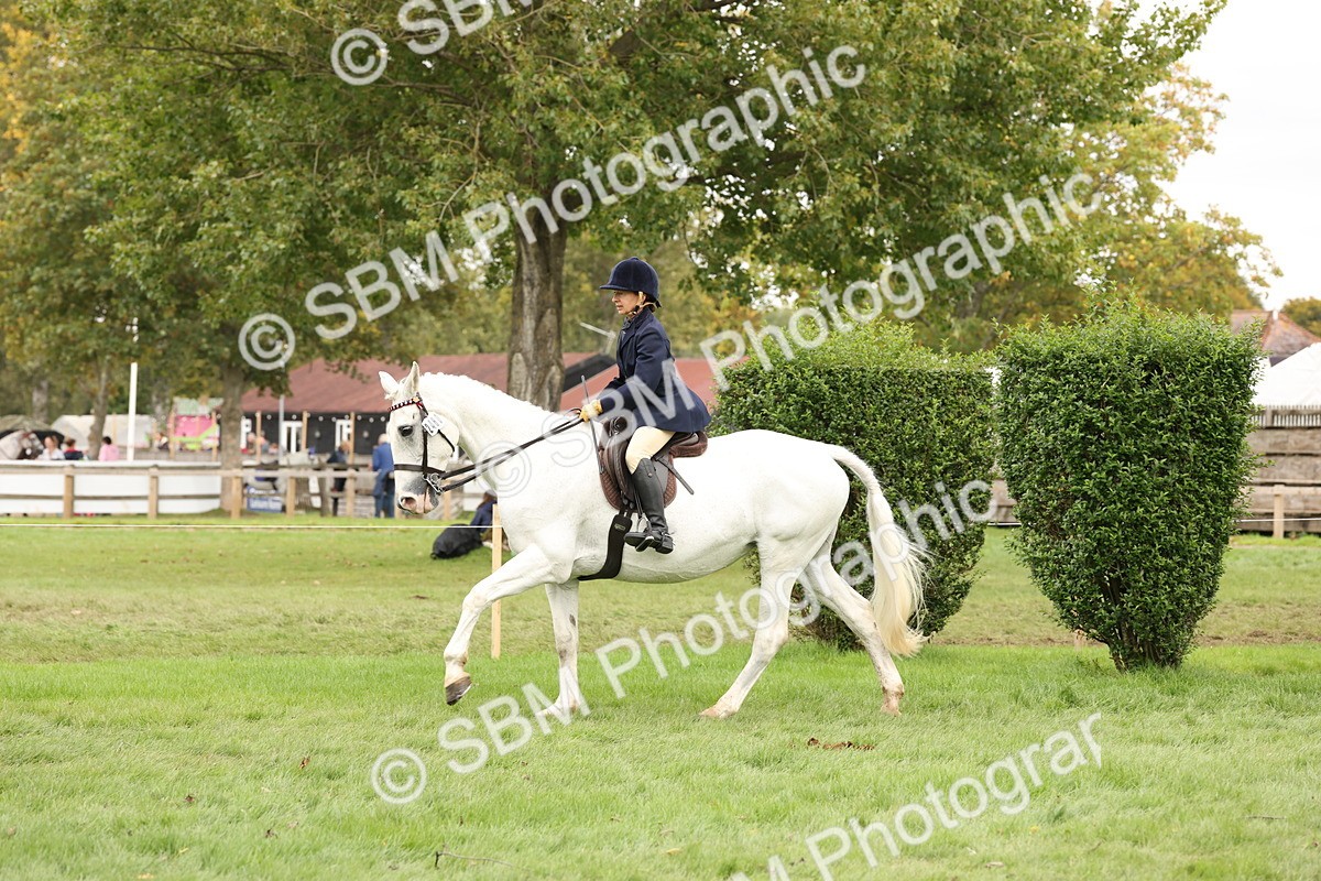 SBM_64257 - S65 - Riding Horse & Hack & Thoroughbred Ridden
