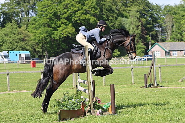 IMG_4776 - Working Hunter