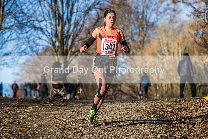 Cumbria XC-631 - Cumbria Cross Country Championships (Junior & Senior Races) Saturday 3rd January 2026