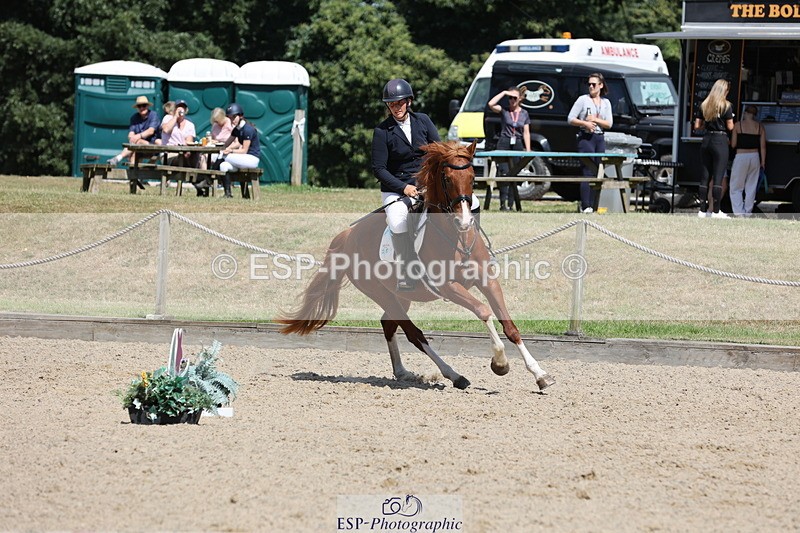 250703A-110701-01193 - Cls 6 Snr British Novice and 90cm Open