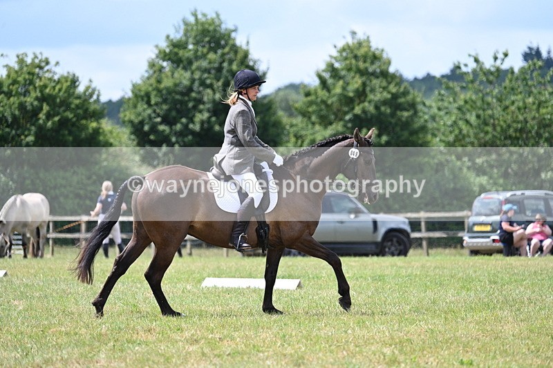 WJ7_4865 - Time 11:22 to 11:51