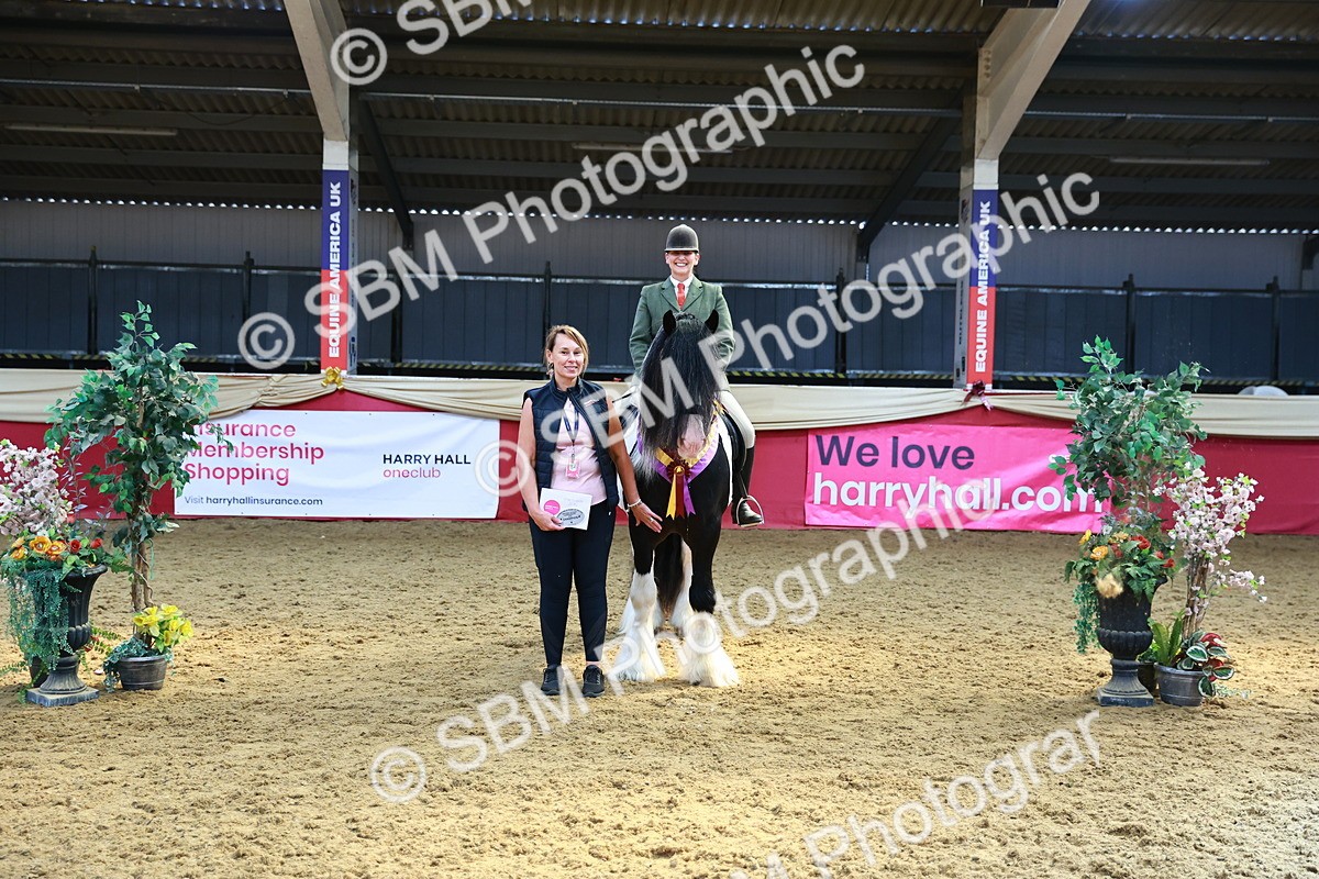 SBM_12767 - HOYS Veteran Qualifier - Ridden Champ