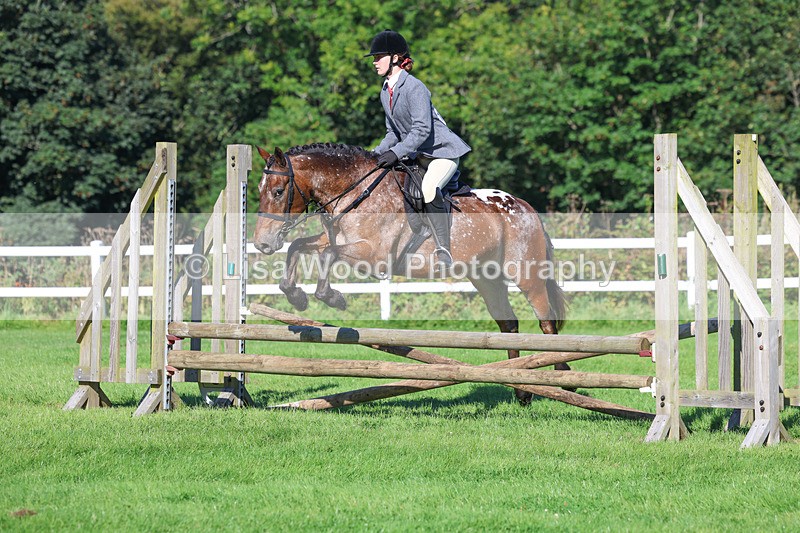 3E7A7790 - Class 2: Open Working Hunter pony