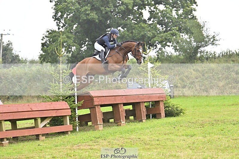 240901A-124549-08530 - 308-Tommy.Greengard-MBF.GOOGLE