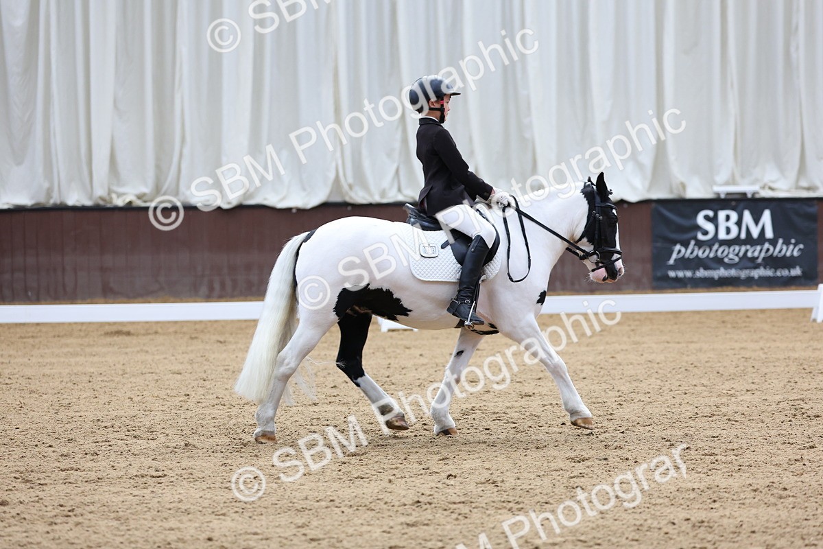 SBM_015806 - Class 15 - Novice FSM - 9.50 - 11.10