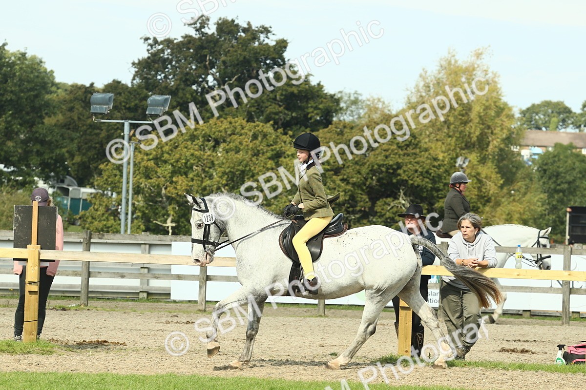 SBM_67551 - S56 - Coloured Pony Ridden