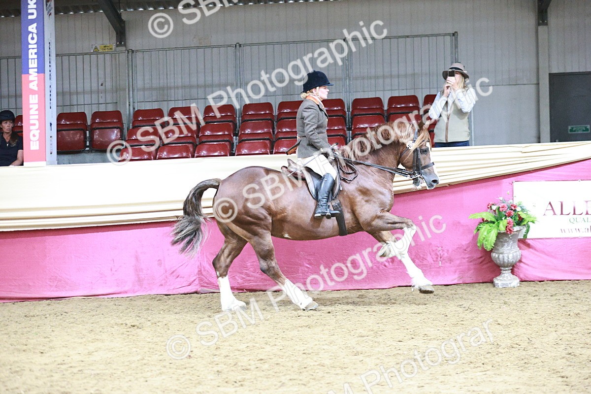 SBM_08778 - Class 12R - Regional Ridden Pre-Vet