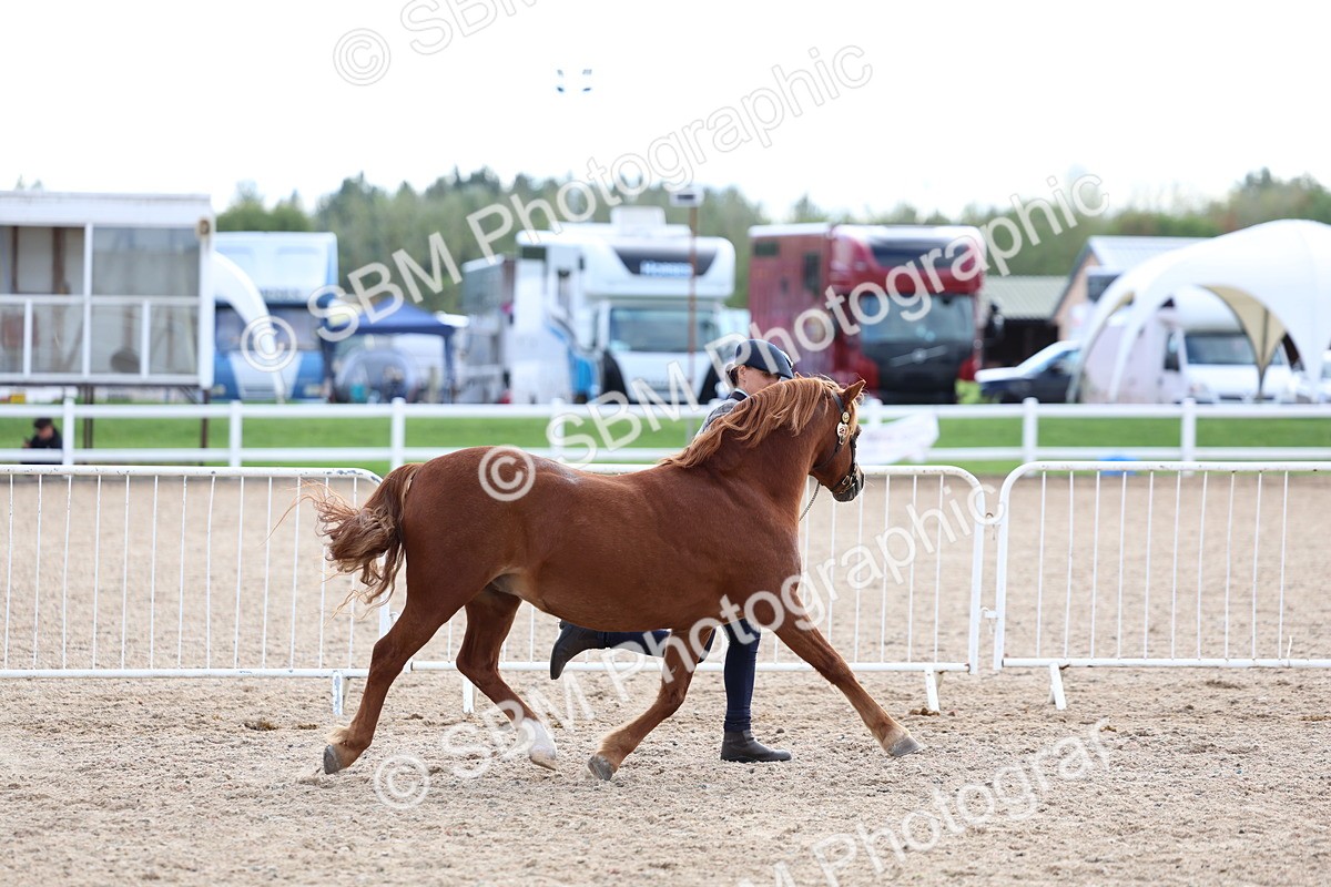 SBM_18734