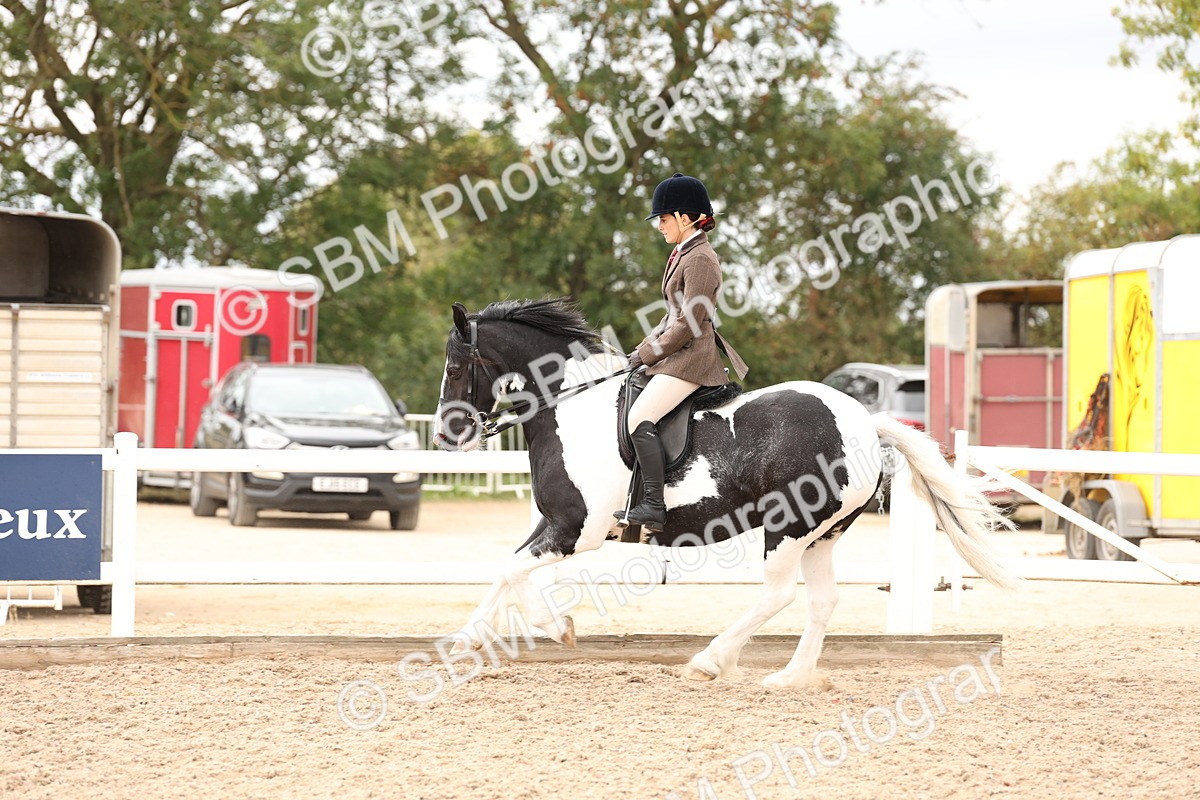 SBM_19684 - Class 216 - Ridden Traditional - Native Cob