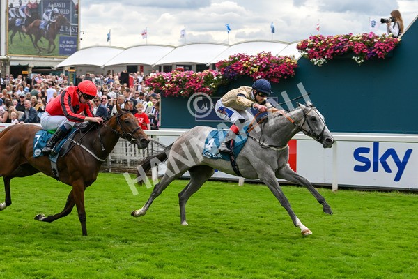 270724-Race 4-Greydreambeliever-7267 - Race 4 4.00pm Sky Bet Club EBF Fillies' Novice Stakes