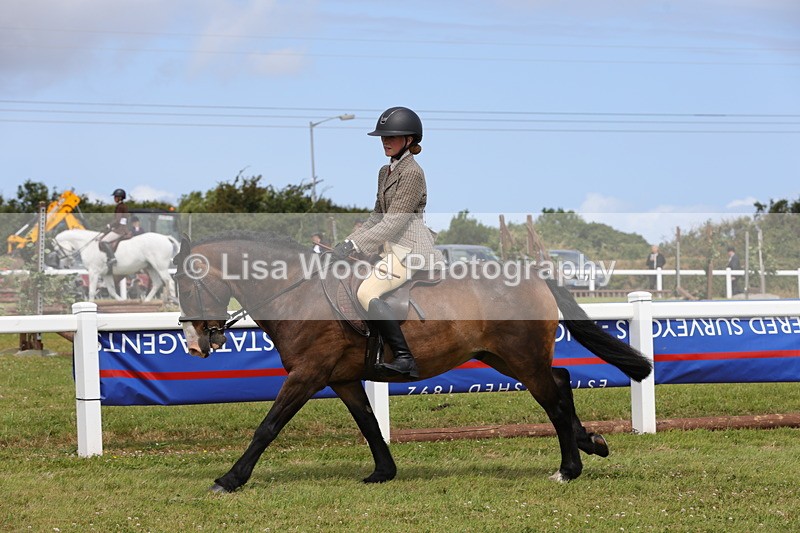1X9A4016 - Class 32: Show Hunter Pony 153cm and under