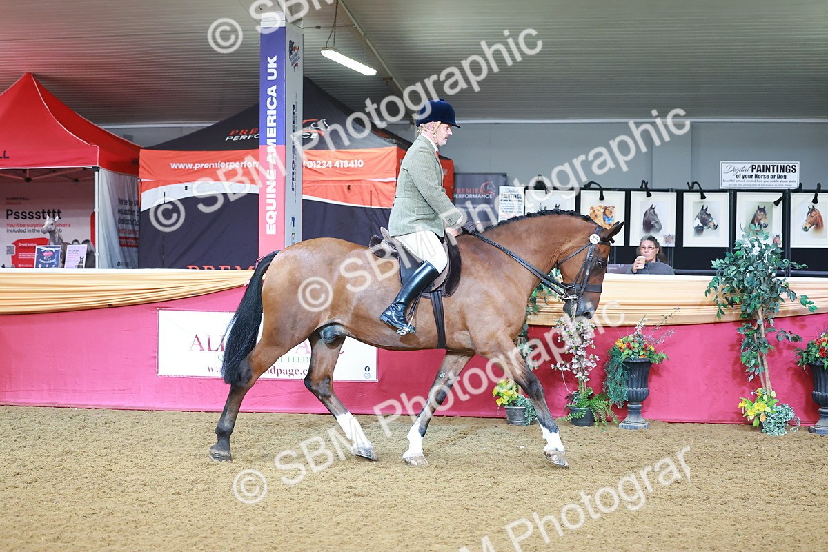 SBM_07607 - Class 101 - HOYS Veteran Qualifier - Ridden Diamond